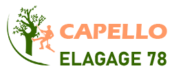 elagage-capello-elagage-78
